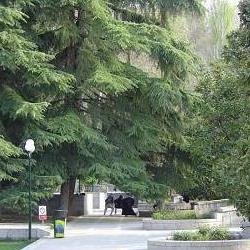 پارک های شرق تهران