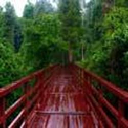 پارک ملی کاو یای