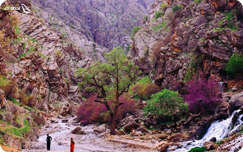 دره ارغوان کجاست