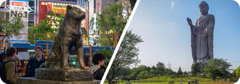 مجسمه هاچیکو و یوشیکو دایبوتسو