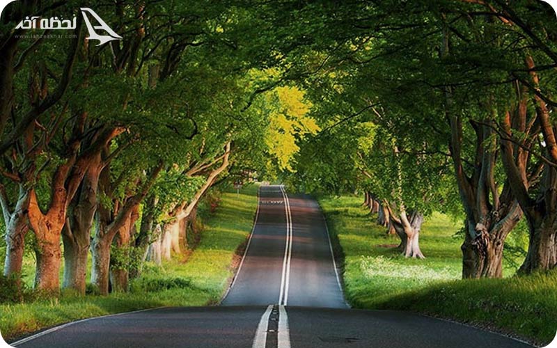 جنگل گیسوم رشت جنگل گیسوم