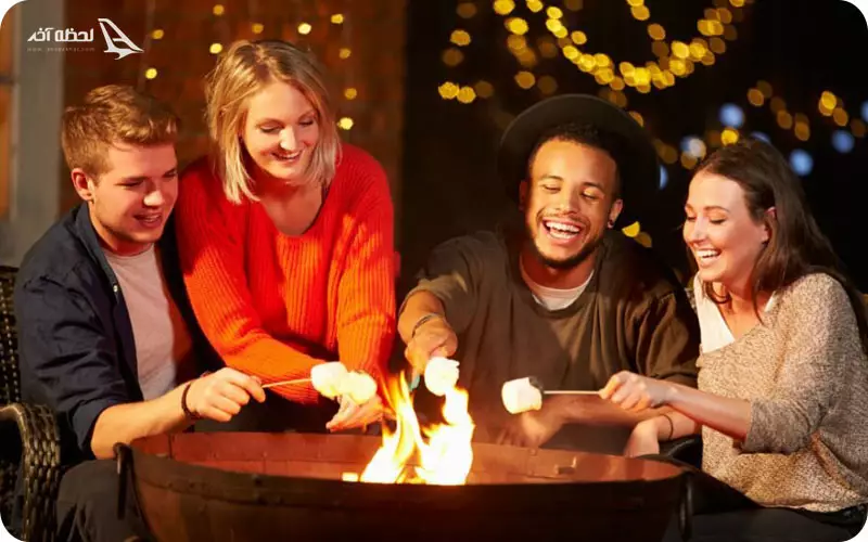 فرهنگ و آداب رسوم مردم دانمارک