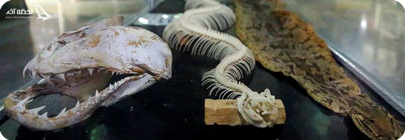 باغ خزندگان اصفهان