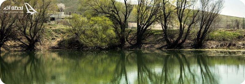 پارک جنگلی یاس