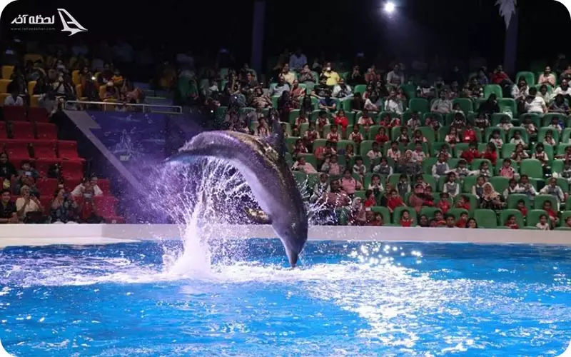 آدرس دلفیناریوم باتومی