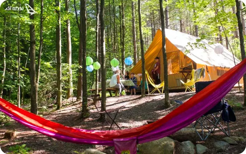 کمپ در لاویج