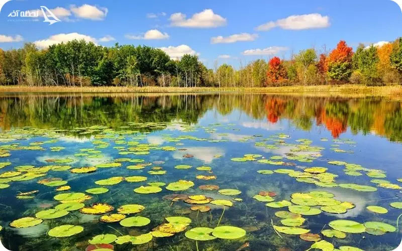 دریاچه انزلی