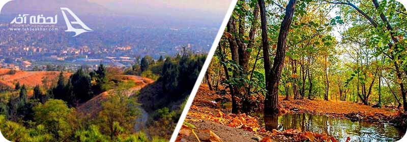 پارک جنگلی چیتگر