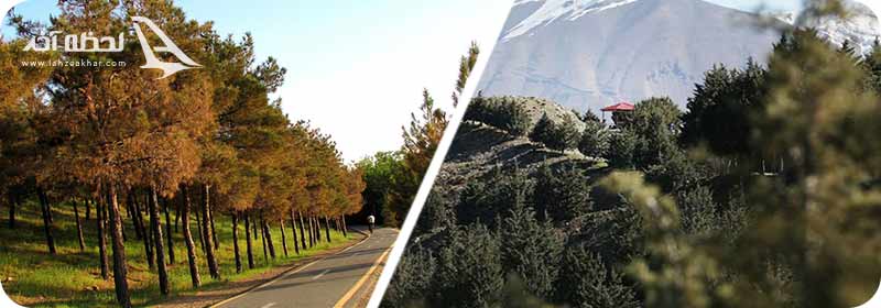 پارک جنگلی غزال