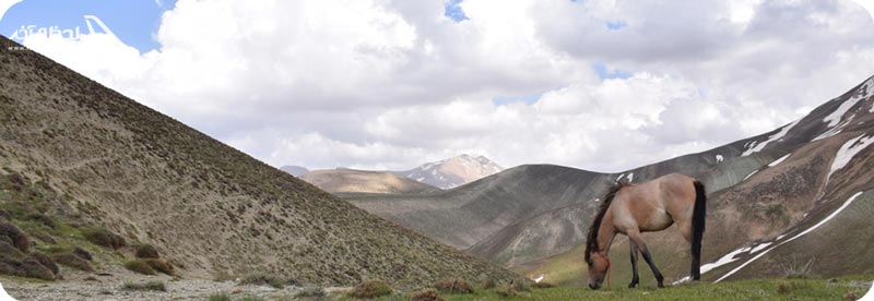 دشت لار تهران