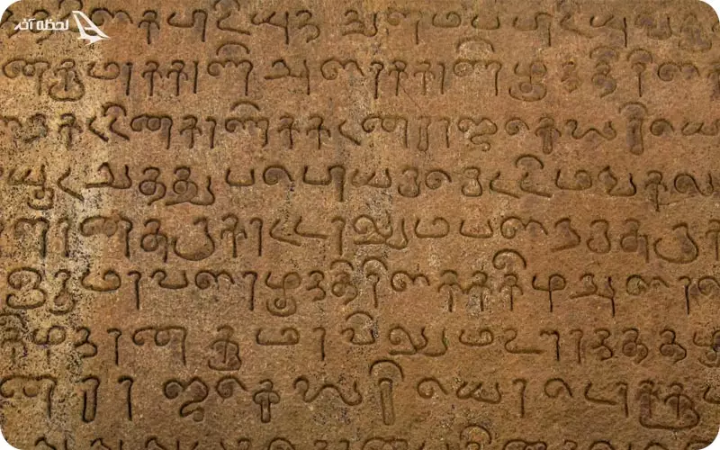 زبان تامیل 
