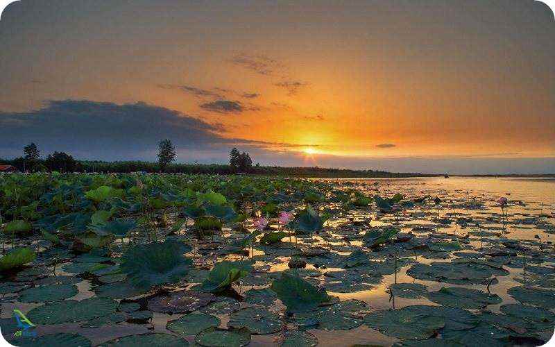 تالاب انزلی