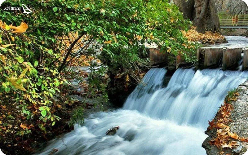 نهاوند کجاست؟