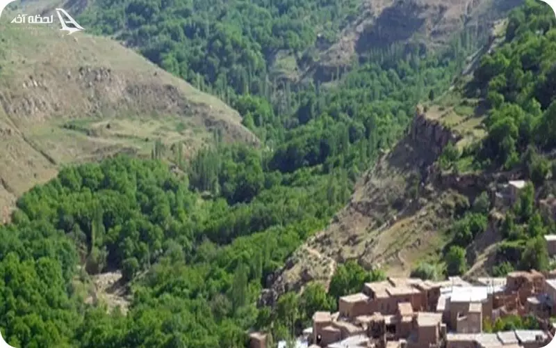 تاریخچه فاروج