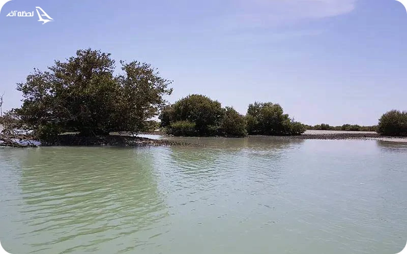 منطقه حفاظت شده گابریگ  و جنگل‌های حرا؛ زیستگاه پرندگان و آبزیان 