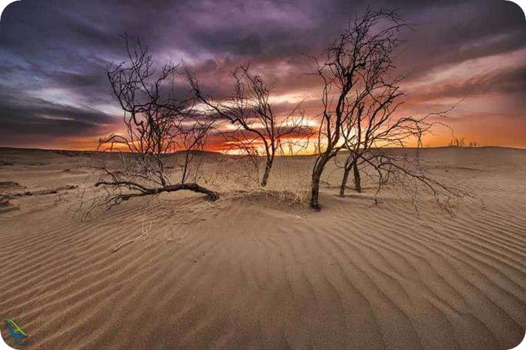 اقلیم گرم و خشک