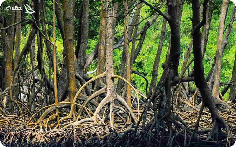 جاهای دیدنی اطراف دره تندیس ها