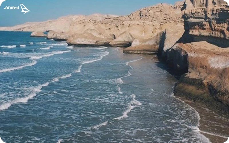 ساحل ستاره‌های دریایی، میزبانی از انواع موجودات در سیبری