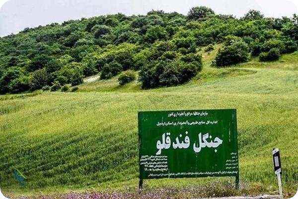 فندوقلو