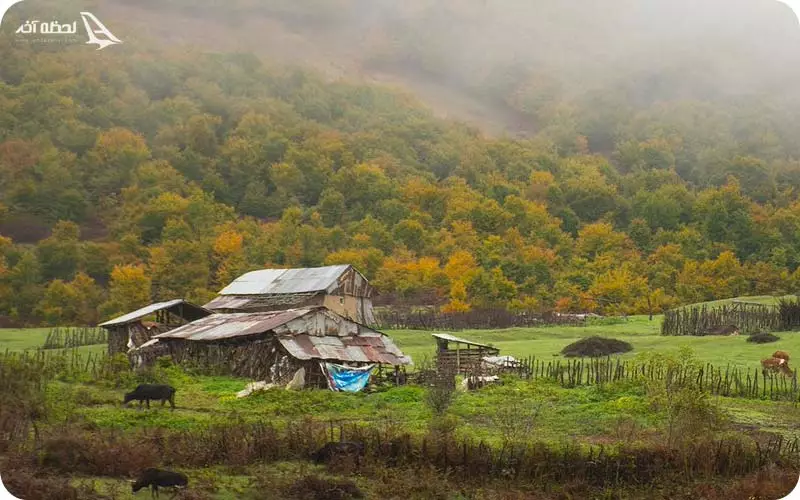 روستای لاویج