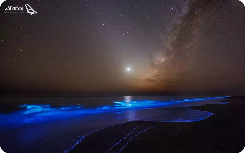 بهترین زمان سفر از ساحل شب تاب