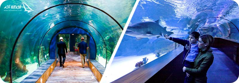 آکواریوم آکوا وگا ترکیه