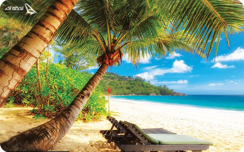 ساحل درختان نارگیل