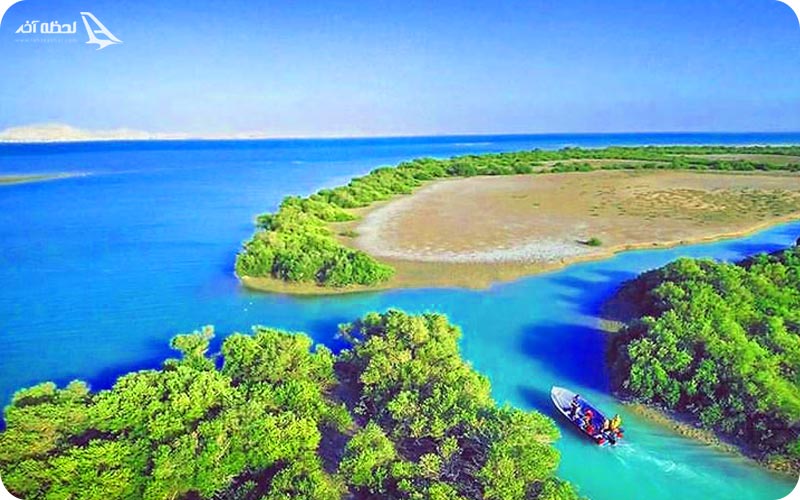 ویژگی جنگل حرا