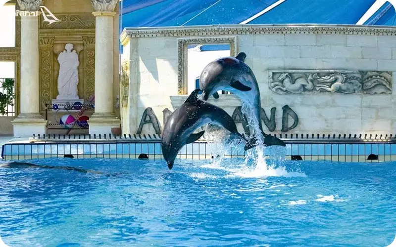 پارک دلفین 