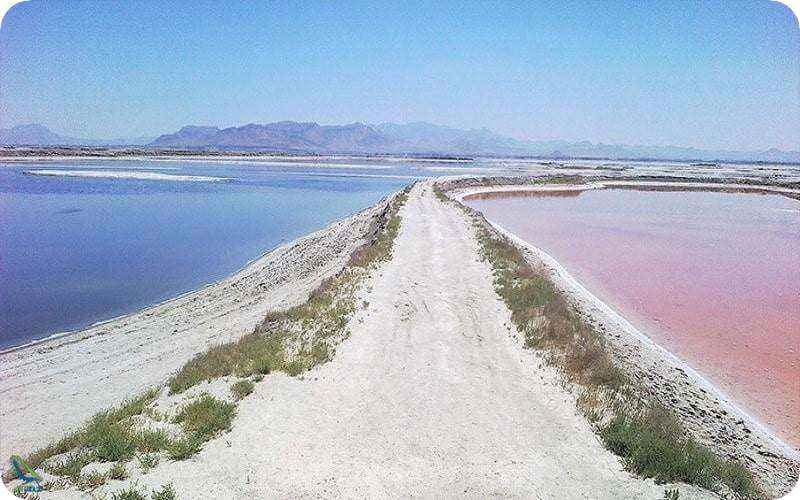 تالاب میقان در اراک