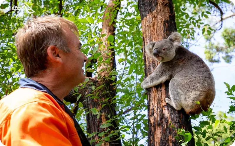 مرکز حفاظت فیل کوالا
