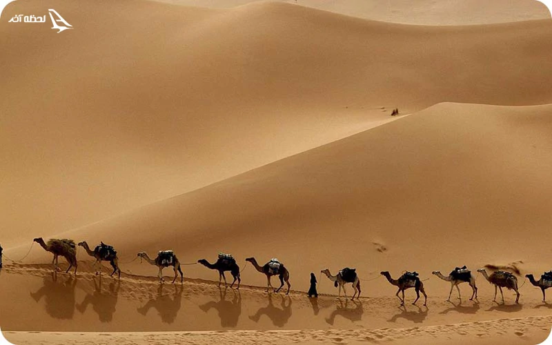 جاذبه های اطراف قدمگاه امام رضا (ع) جاذبه های اطراف قدمگاه امام رضا (ع)