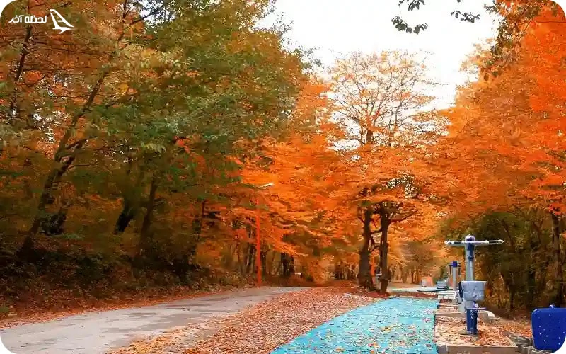 پارک جنگلی تلار