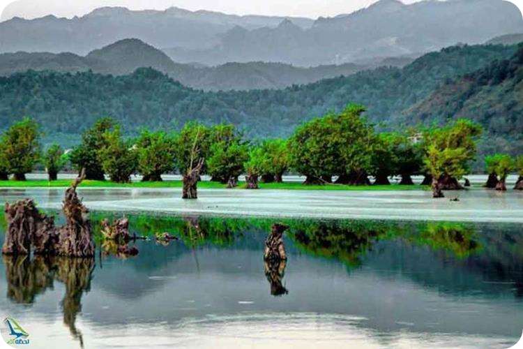 تالاب استیل آستارا