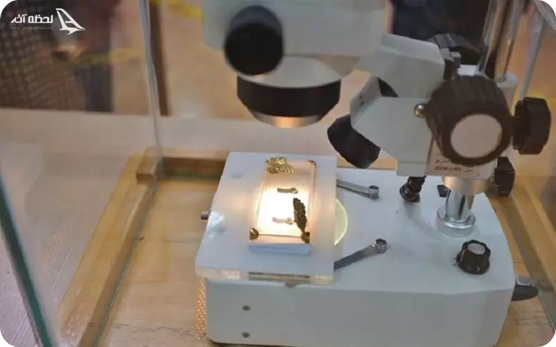 کلیسای وانک و تار مو