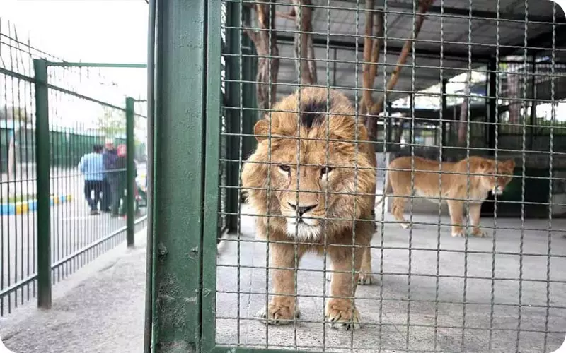 باغ وحش وکیل آباد مشهد