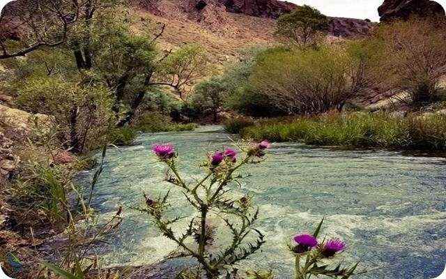 دره زمان پلور