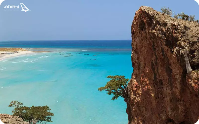 جزیره سوکوترا یمن