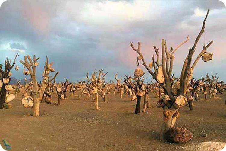 بازدید از باغ سنگی سیرجان