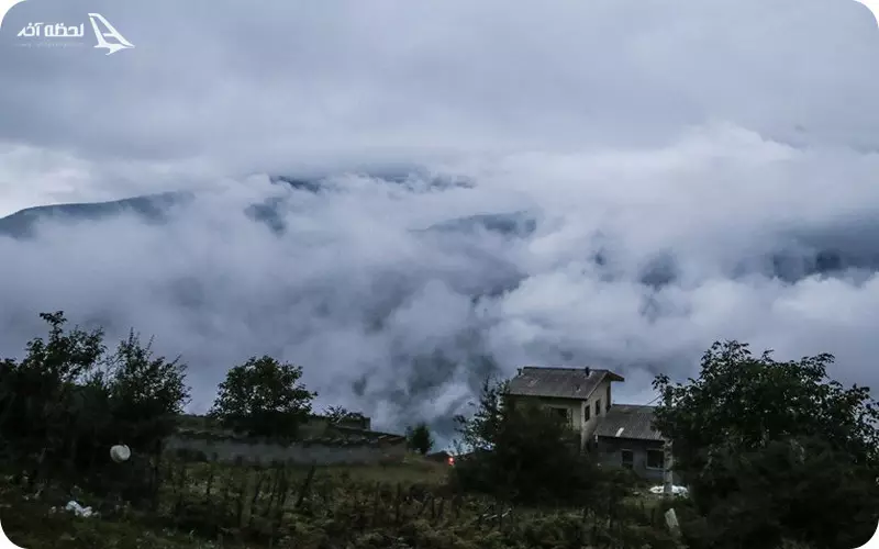 جنگل های دو هزار