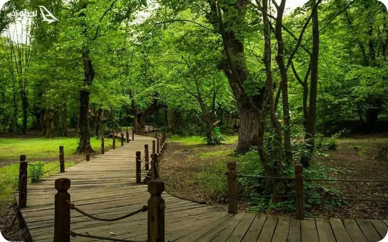 جنگل النگدره