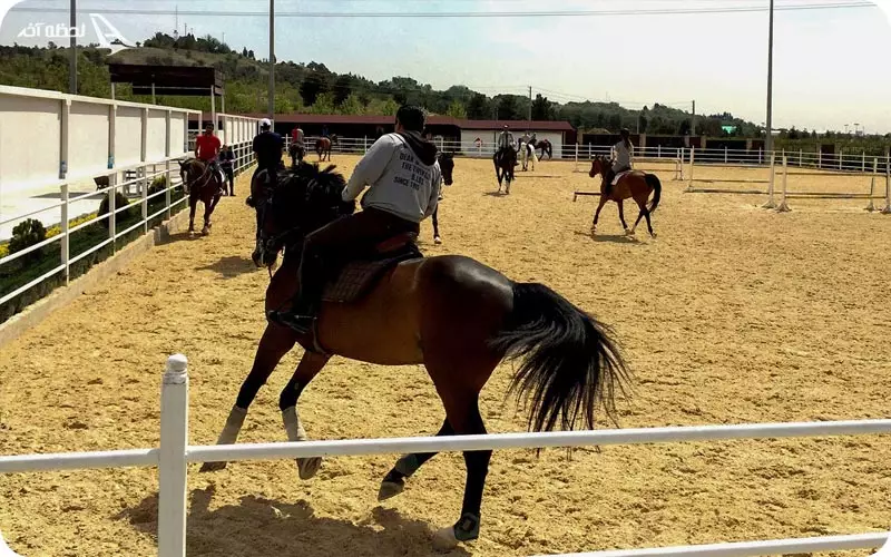 باشگاه سوارکاری فردوسی