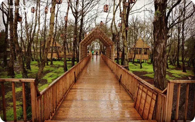 پارک جنگلی توسکا پارک جنگلی توسکا