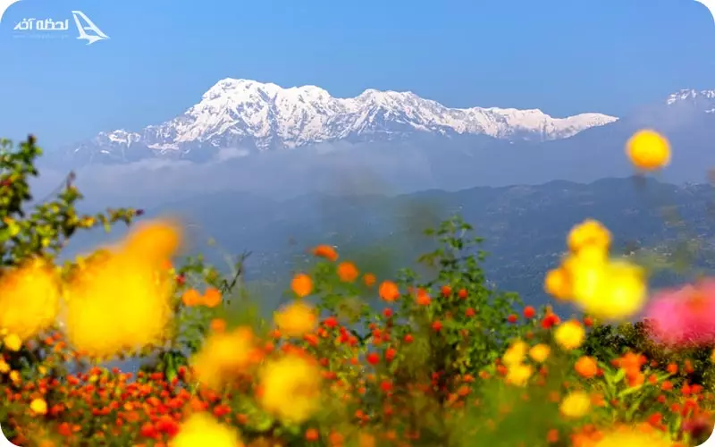 دره گل ایروان