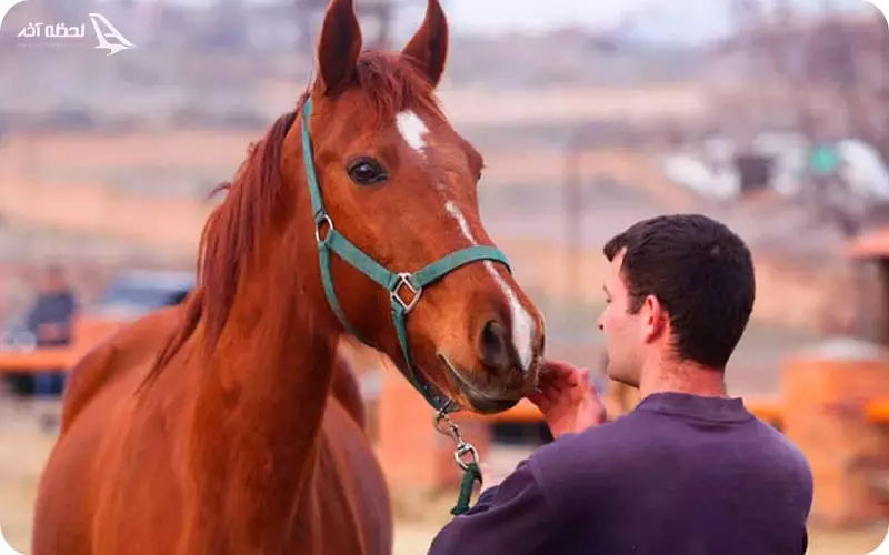 باشگاه سوارکاری