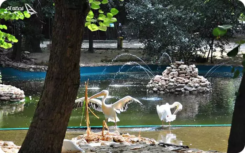 باغ وحش وارنا