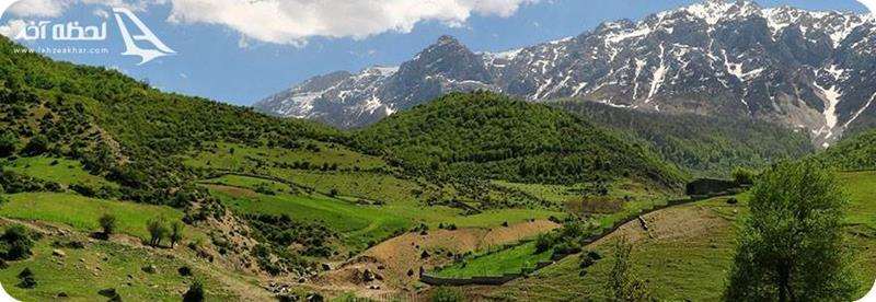 تصویری زیبا از جنگل های سوادکوه