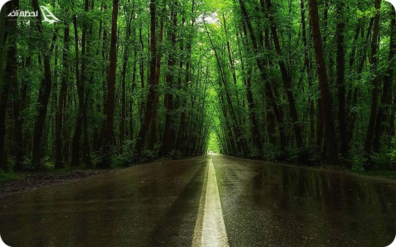 دیدنی های اطراف جنگل گیسوم دیدنی های اطراف جنگل گیسوم