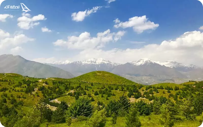 پارک جنگلی تلو تهران پارک جنگلی تلو