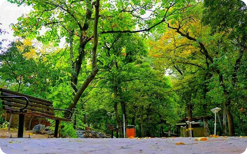 پاییز در پارک قیطریه پاییز در پارک قیطریه